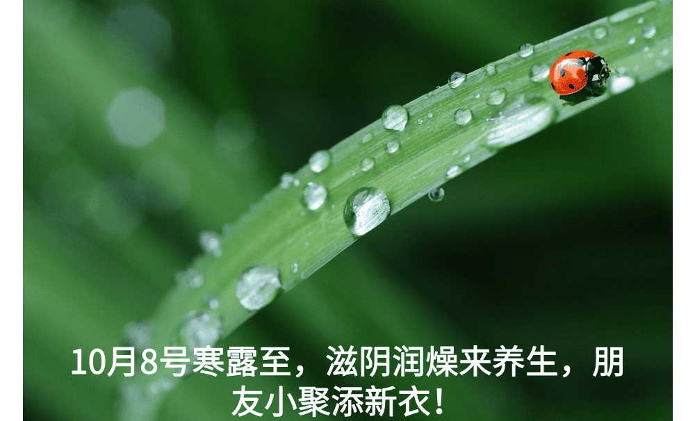 10月8号寒露