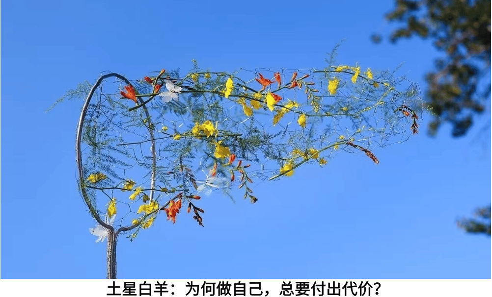 土星白羊：为何做自己，总要付出代价？