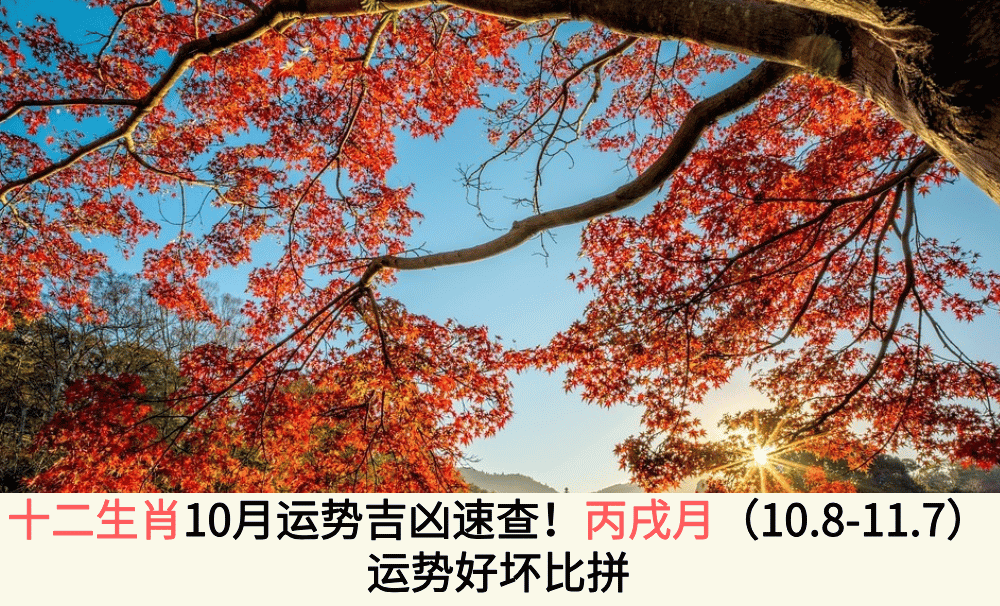 十二生肖10月运势