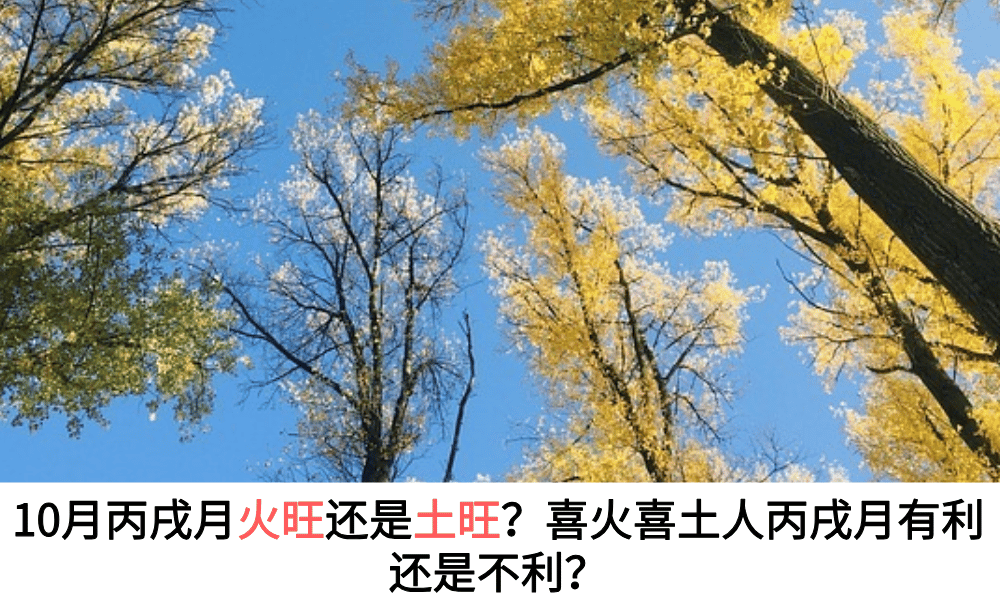 10月丙戌月