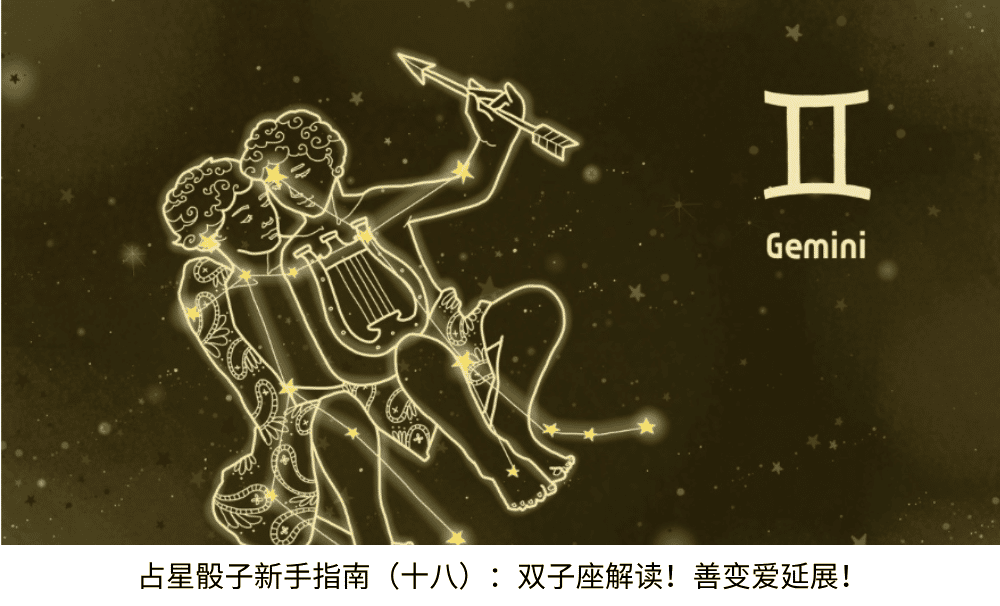占星骰子新手指南(十八):双子座解读!善变爱延展!