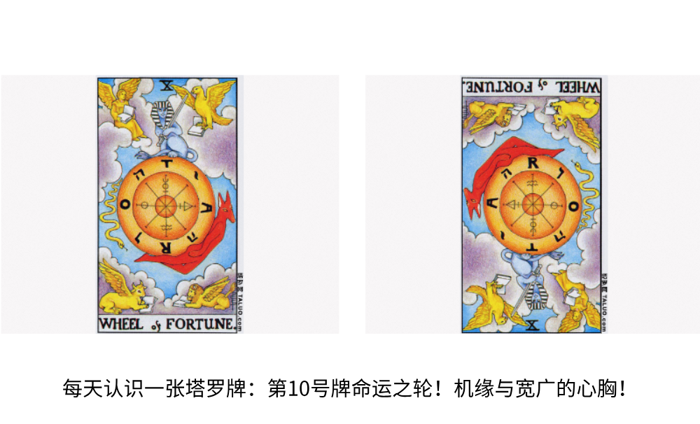 每天认识一张塔罗牌：第10号牌命运之轮！机缘与宽广的心胸！