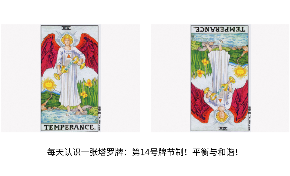 每天认识一张塔罗牌：第14号牌节制！平衡与和谐！