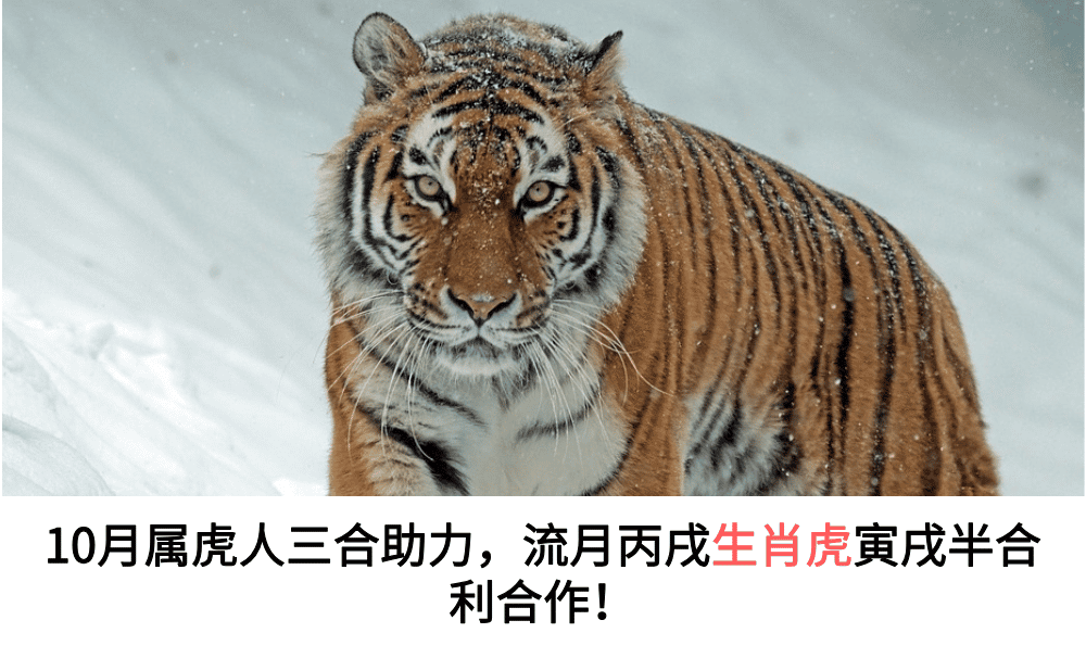 10月属虎人