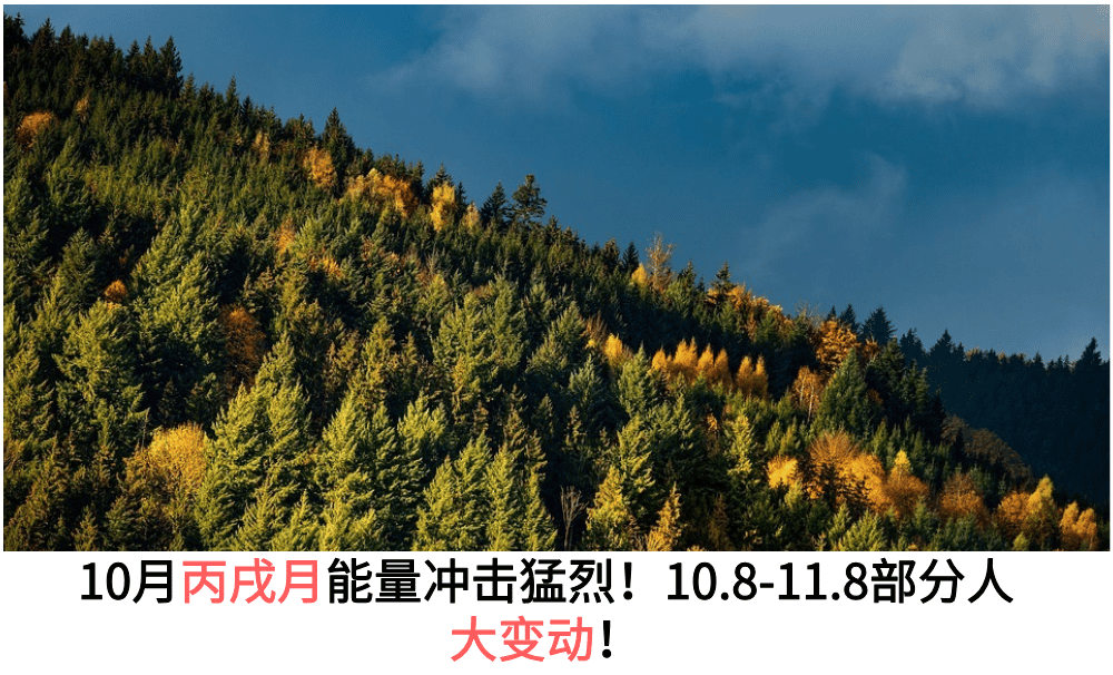 2025年的丙戌月