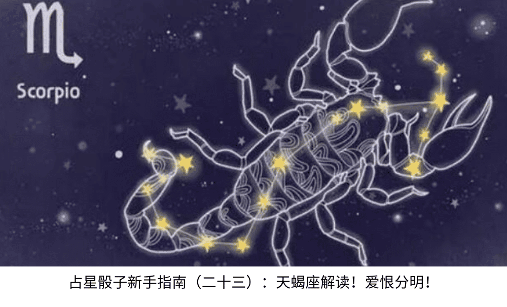 占星骰子新手指南(二十三):天蝎座解读!爱恨分明!