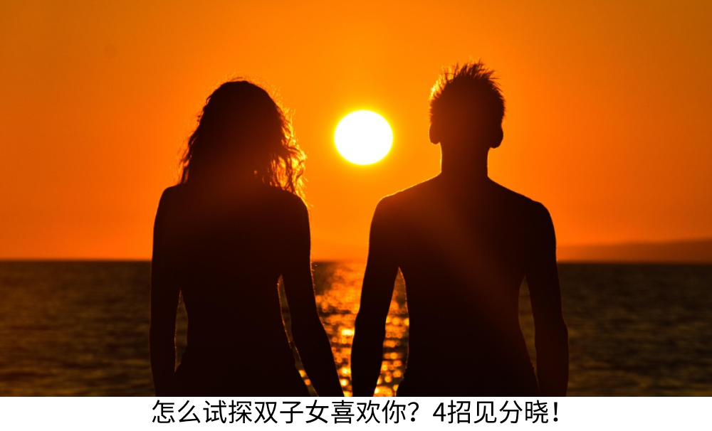 双子座