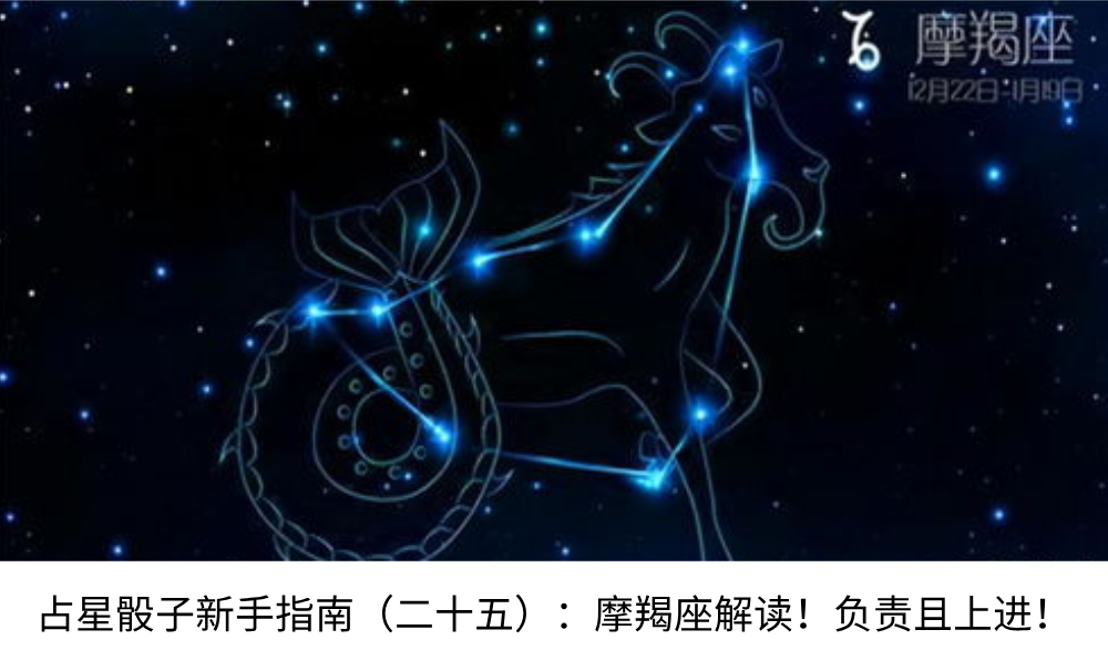 占星骰子新手指南(二十五):摩羯座解读!负责且上进!