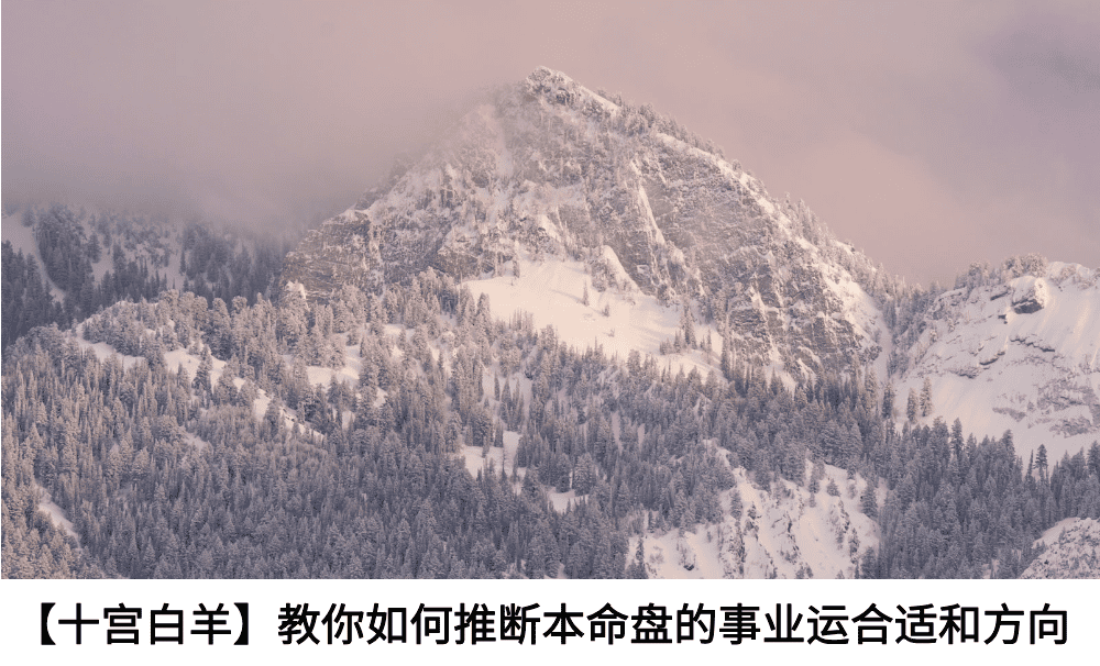 【十宫白羊】教你如何推断本命盘的事业运合适和方向