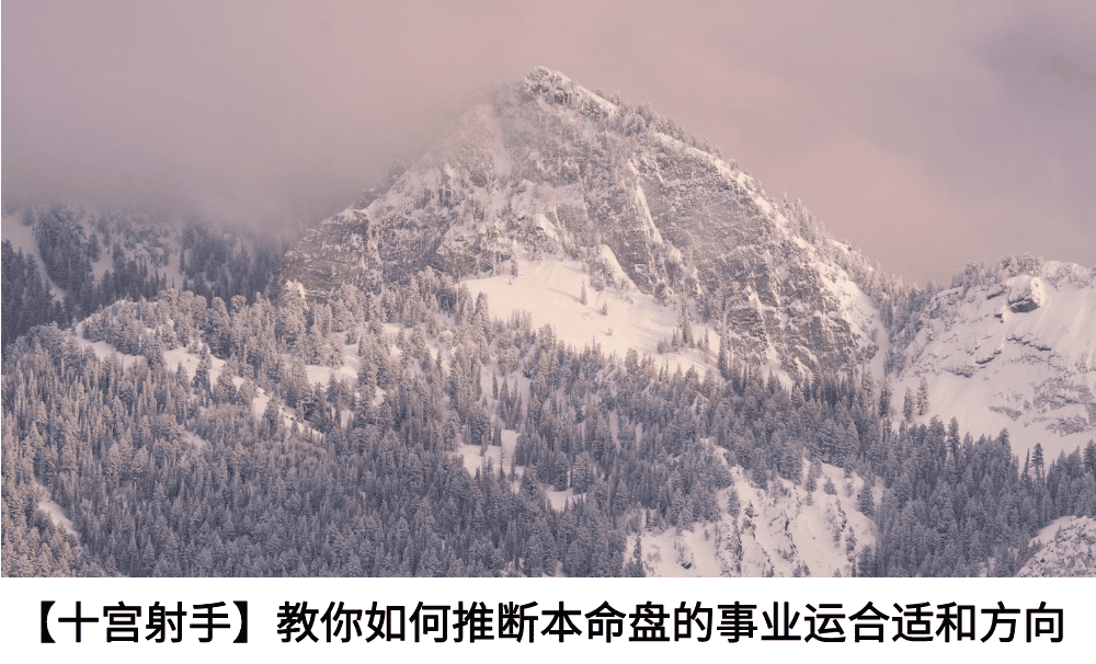 【十宫射手】教你如何推断本命盘的事业运合适和方向