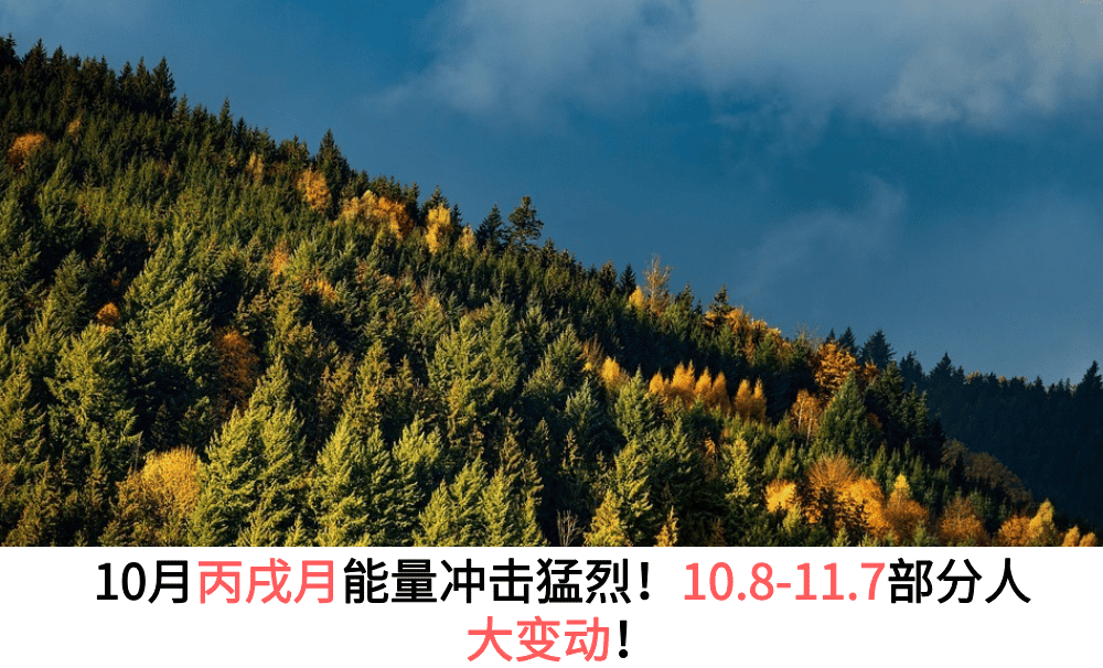 10月丙戌月能量冲击猛烈！10.8-11.7部分人大变动！