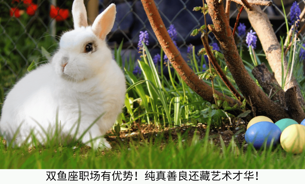 双鱼座