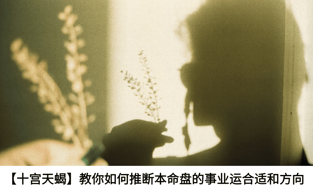 【十宫天蝎】教你如何推断本命盘的事业运合适和方向