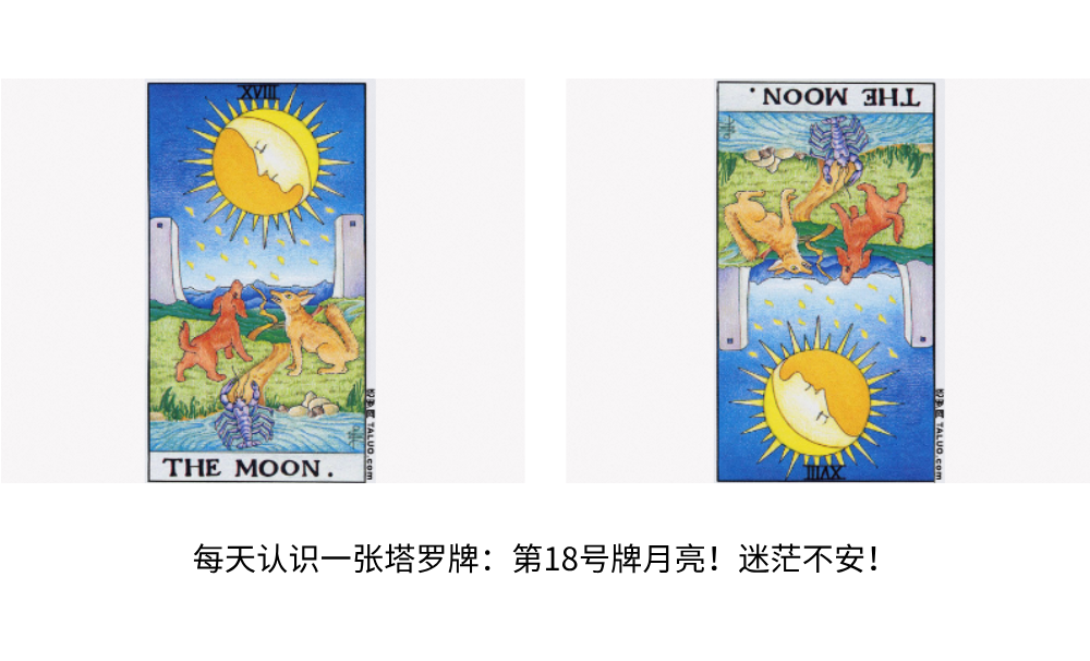 每天认识一张塔罗牌：第18号牌月亮！迷茫不安！