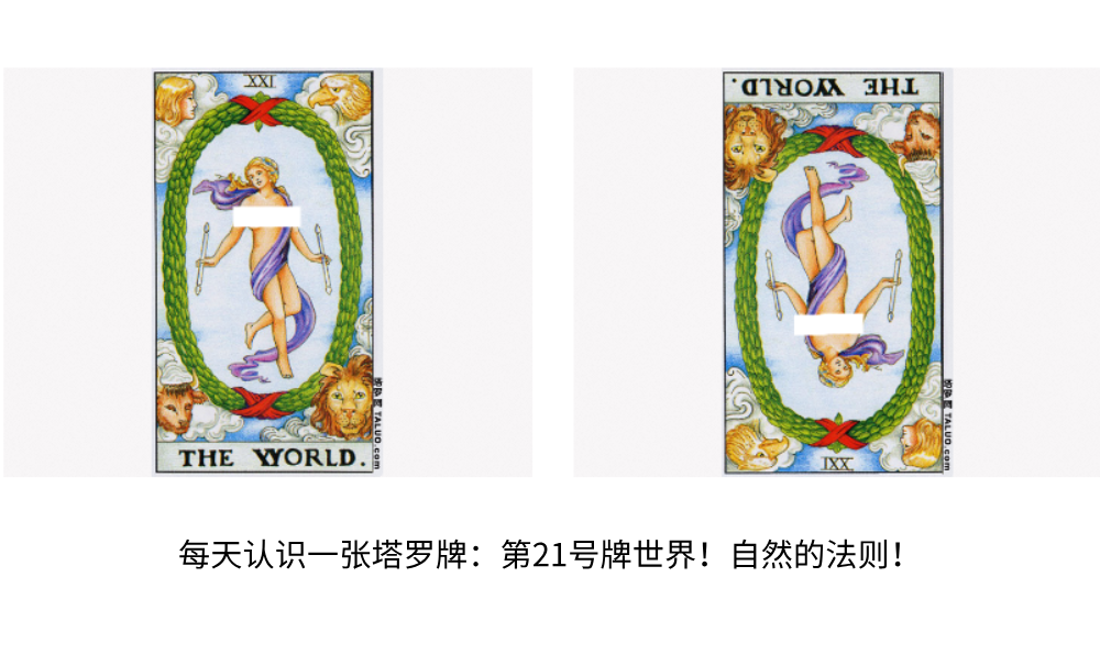 每天认识一张塔罗牌：第21号牌世界！自然的法则！