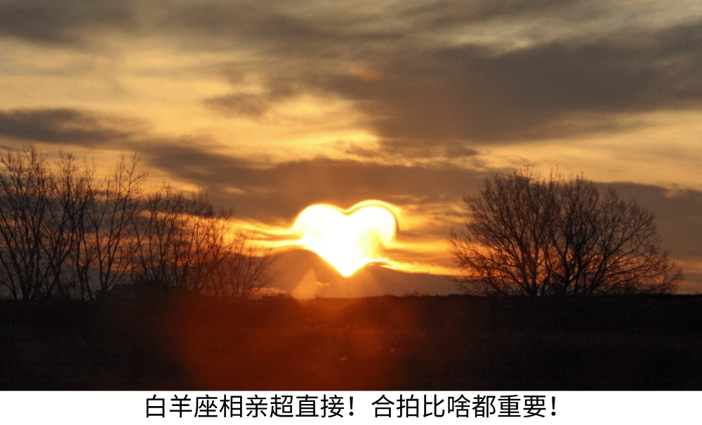 白羊座相亲超直接！合拍比啥都重要！
