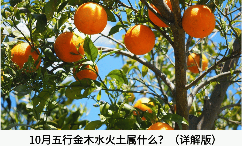 10月