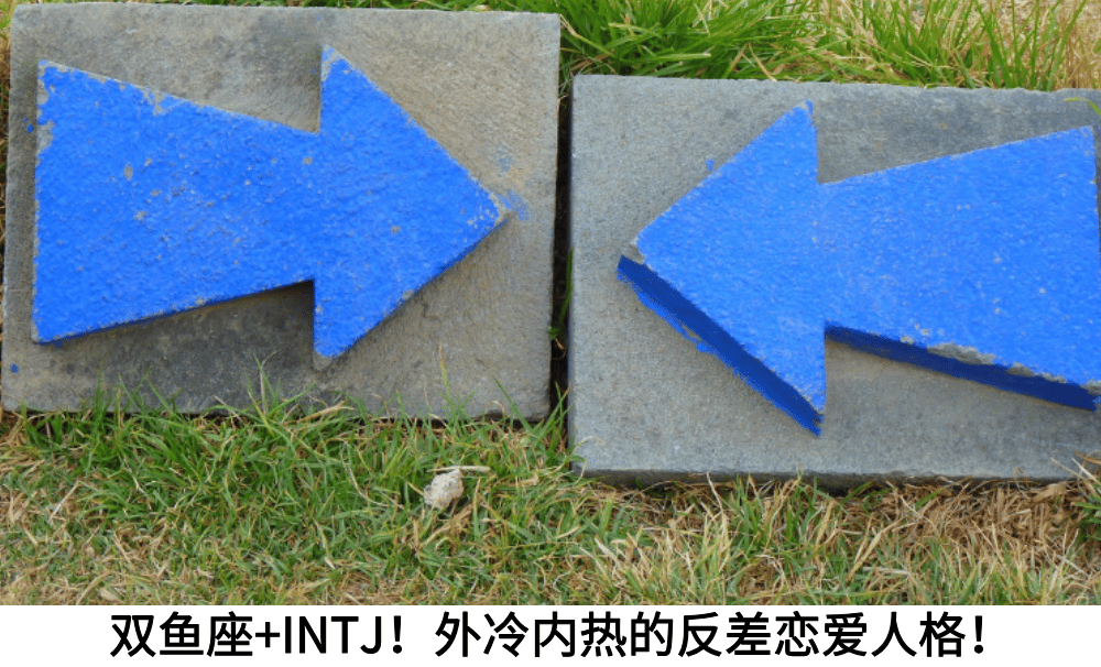双鱼座 ×INTJ！外冷内热的反差恋爱人格！