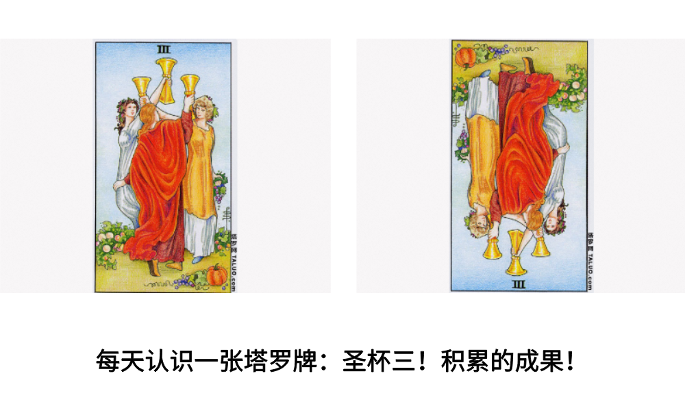 每天认识一张塔罗牌：圣杯三！积累的成果！