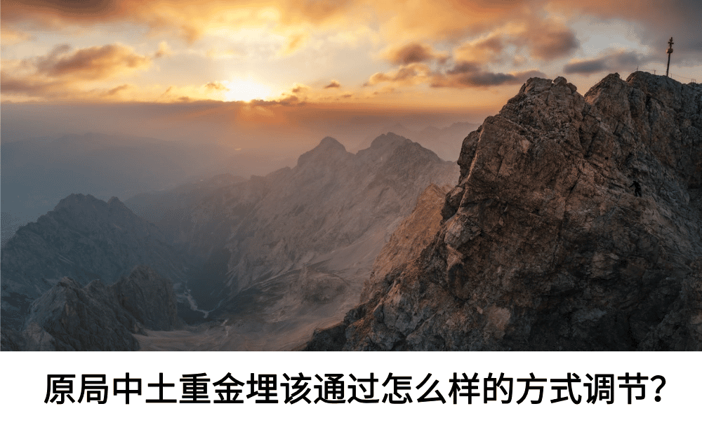 原局中土重金埋该通过怎么样的方式调节？