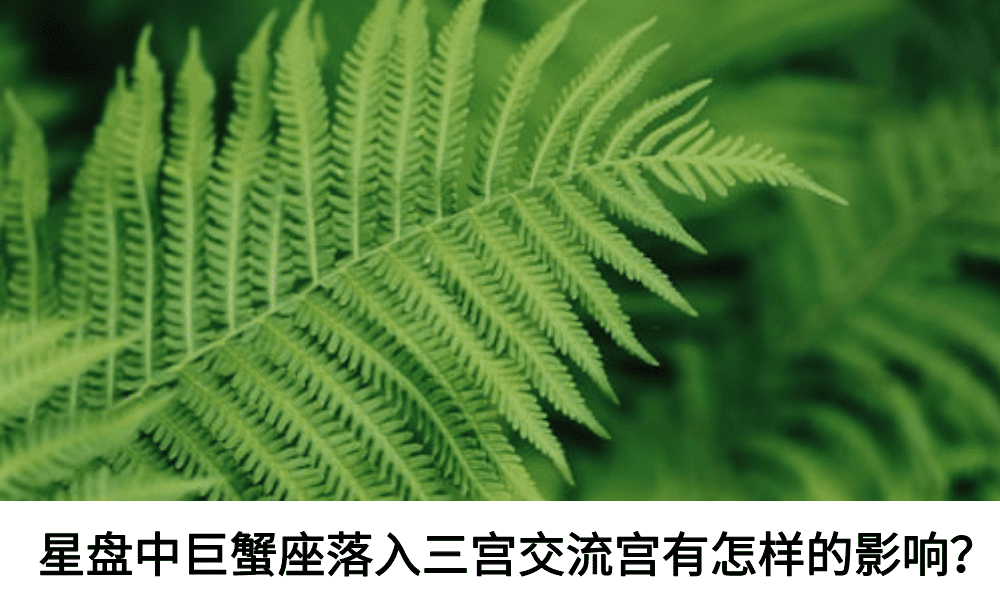 星盘中巨蟹座落入三宫交流宫有怎样的影响？