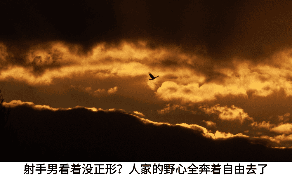 射手男看着没正形？人家的野心全奔着自由去了