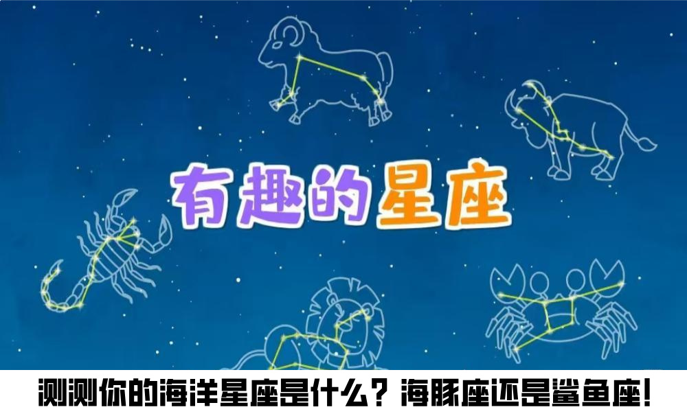 测测你的海洋星座是什么？海豚座还是鲨鱼座！