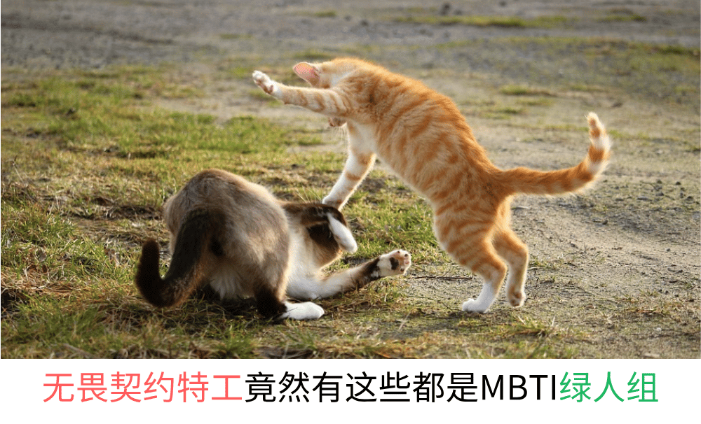 无畏契约特工竟然有这些都是MBTI绿人组