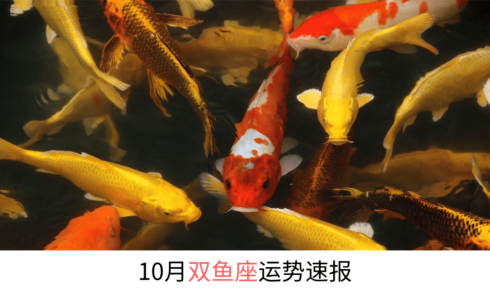 10月双鱼座运势速报