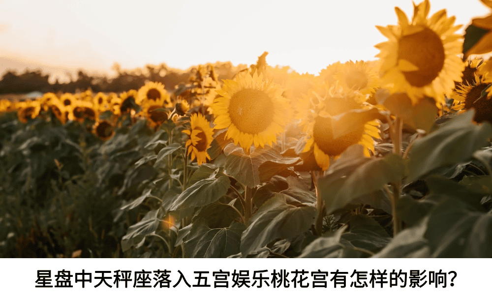 星盘中天秤座落入五宫娱乐桃花宫有怎样的影响？