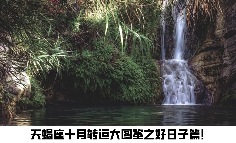 天蝎座十月转运大图鉴之好日子篇！