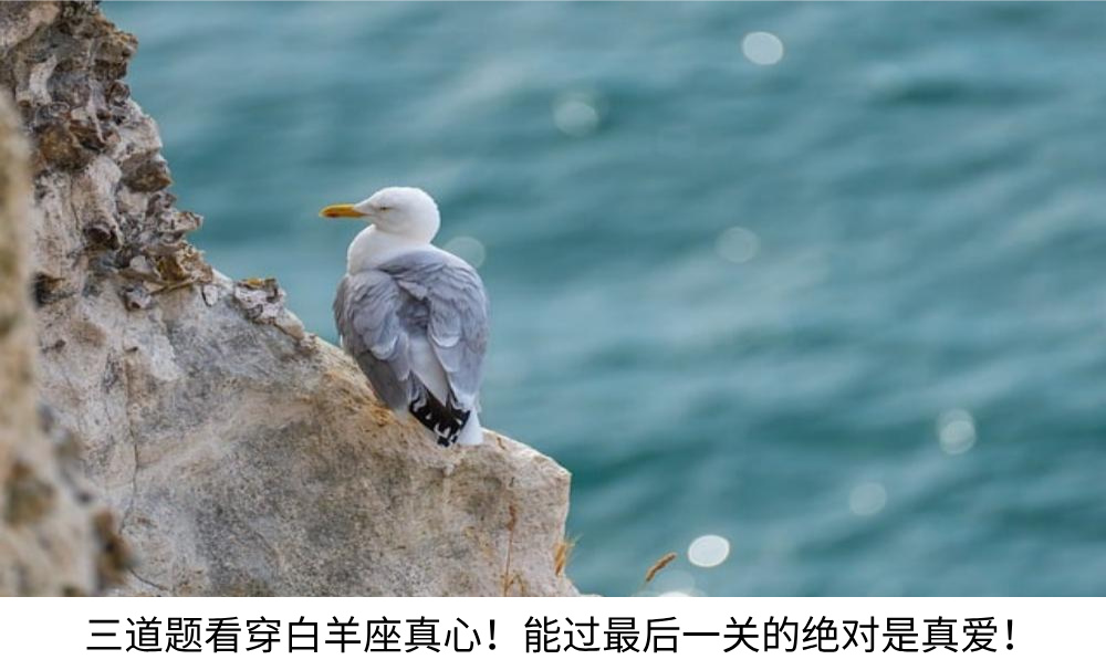三道题看穿白羊座真心！能过最后一关的绝对是真爱！