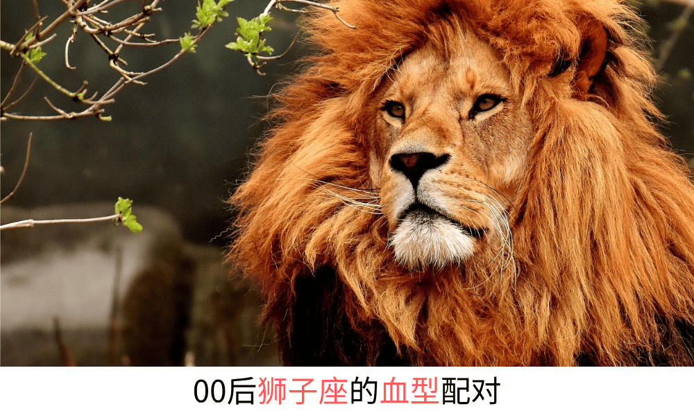 看看你的星座与血型生成怎样的你？