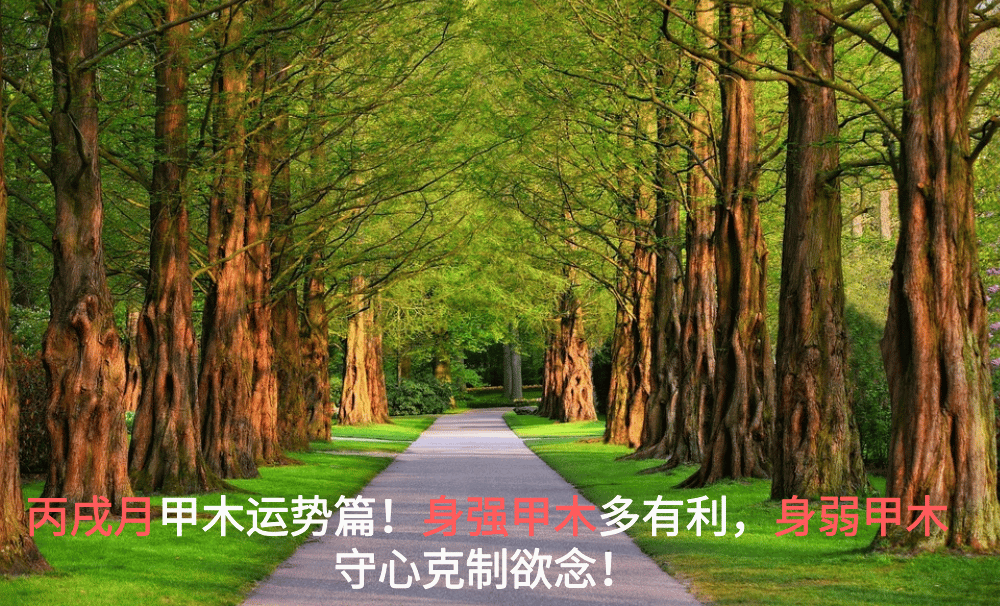 丙戌月甲木运势