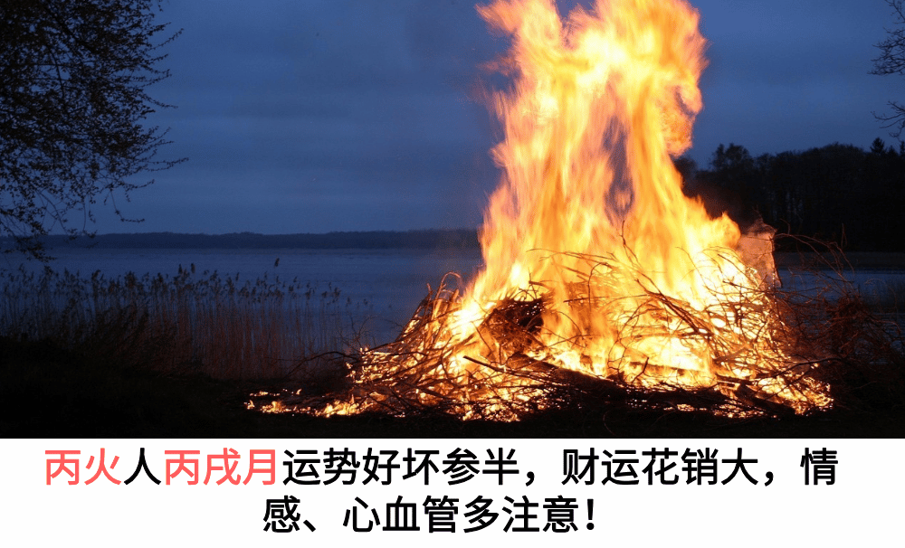 丙火人丙戌月