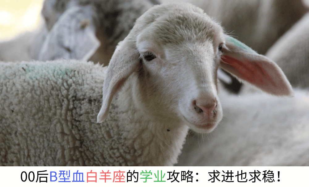 00后B型血白羊座的学业攻略：求进也求稳！