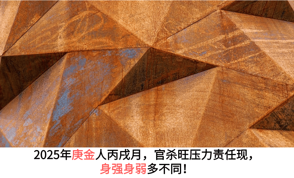 2025年庚金人丙戌月