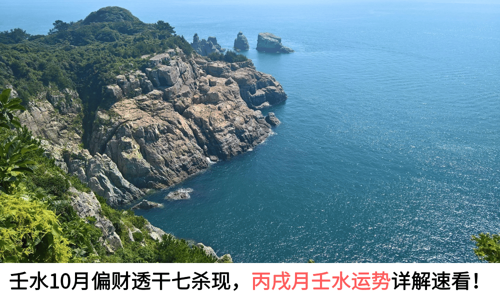 2025壬水10月偏财透干七杀现，丙戌月壬水运势详解速看！