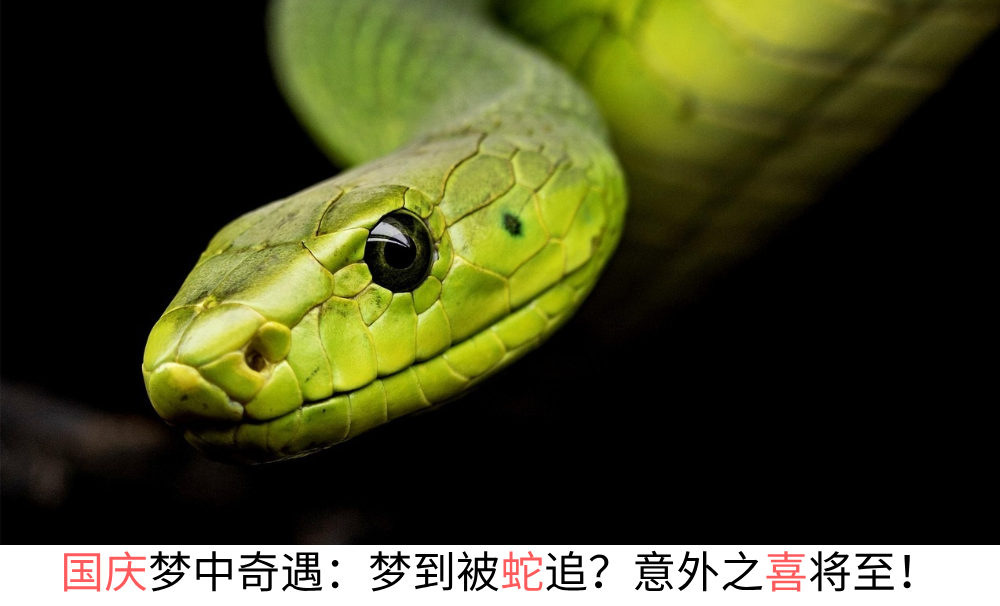 国庆梦中奇遇：梦到被蛇追？意外之喜将至！
