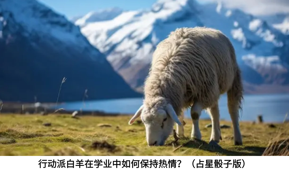 行动派白羊在学业中如何保持热情?(占星骰子版)