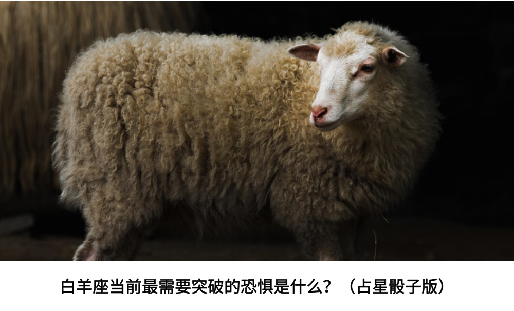 白羊座当前最需要突破的恐惧是什么？（占星骰子版）