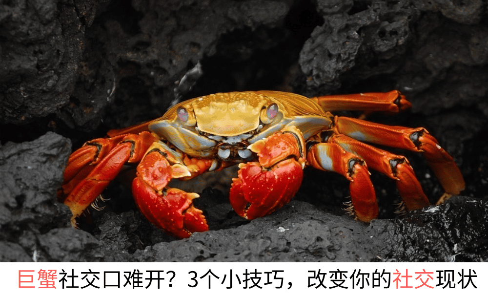 巨蟹社交口难开？3个小技巧，改变你的社交现状