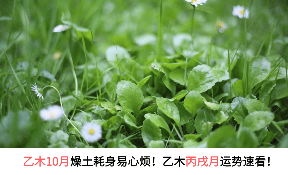 乙木10月