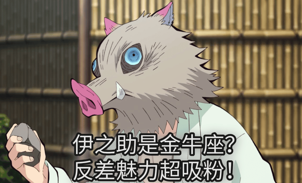 伊之助是金牛座？反差魅力超吸粉！