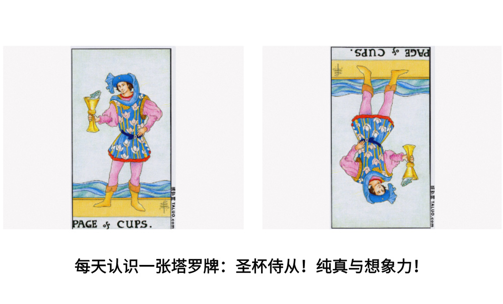每天认识一张塔罗牌：圣杯侍从！纯真与想象力！