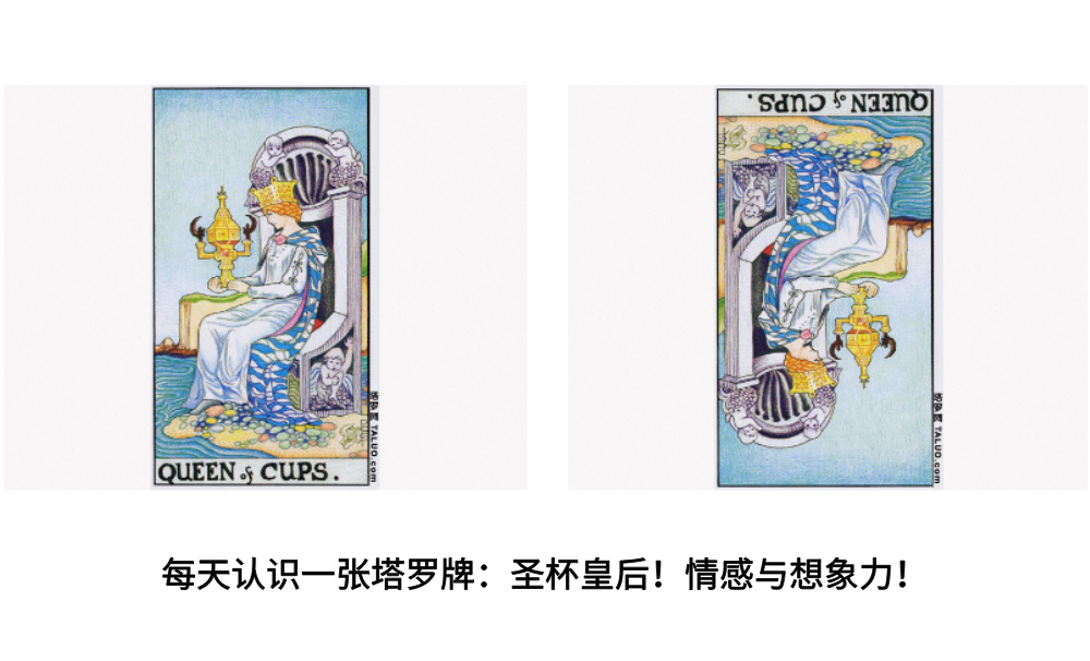 每天认识一张塔罗牌：圣杯皇后！情感与想象力！