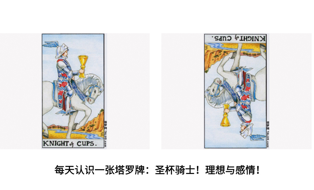 每天认识一张塔罗牌：圣杯骑士！理想与感情！