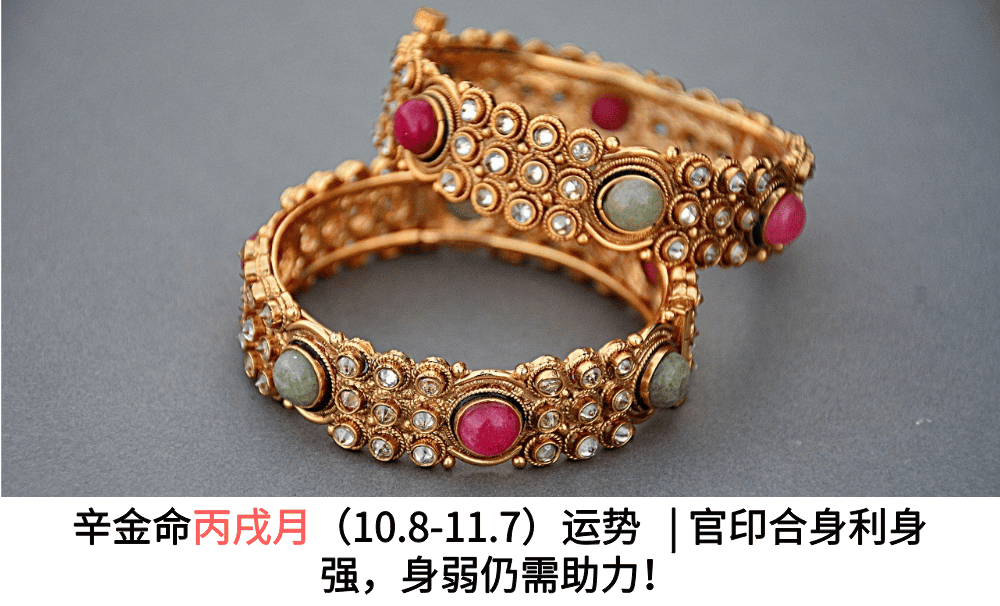 辛金命丙戌月