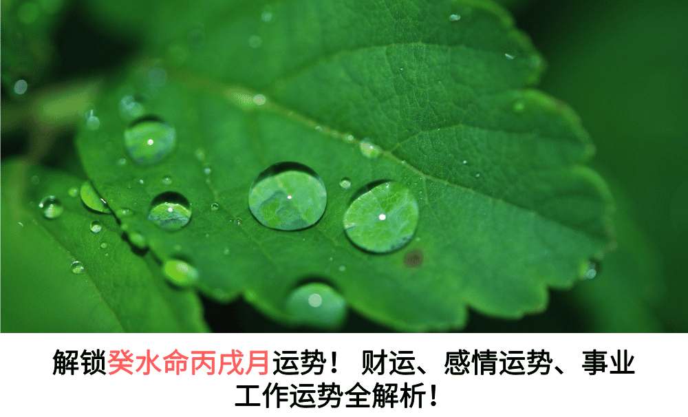 癸水命丙戌月