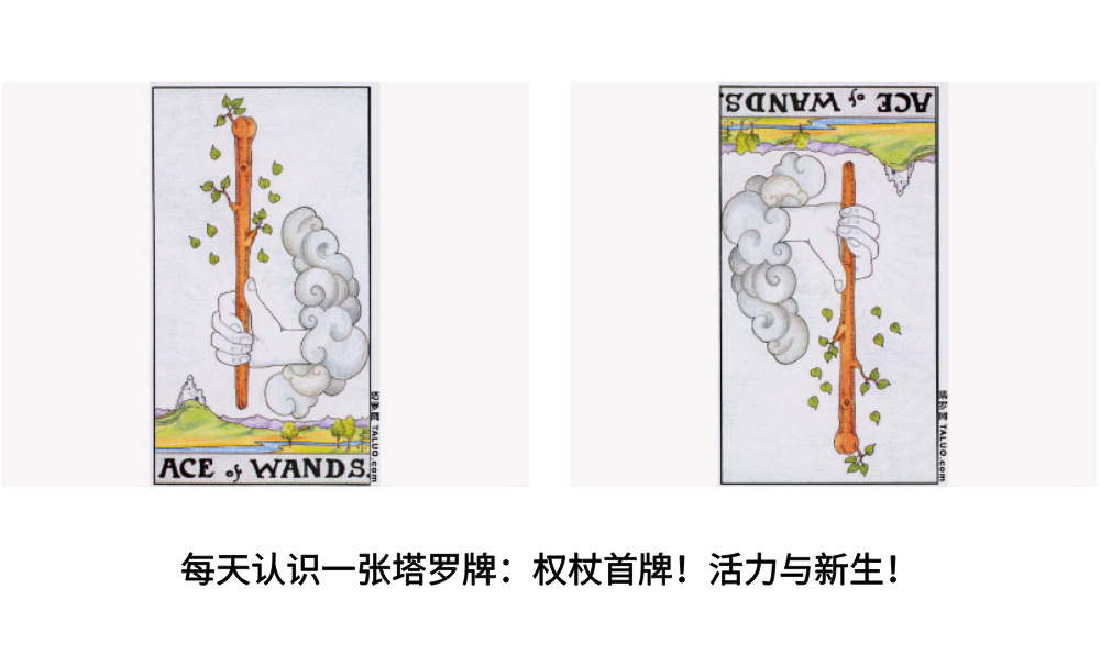 每天认识一张塔罗牌：权杖首牌！活力与新生！